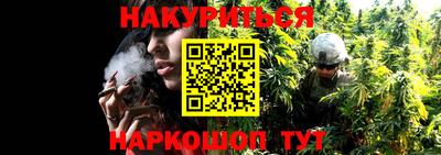 ГАЛЛЮЦИНОГЕННЫЕ ГРИБЫ Волжский