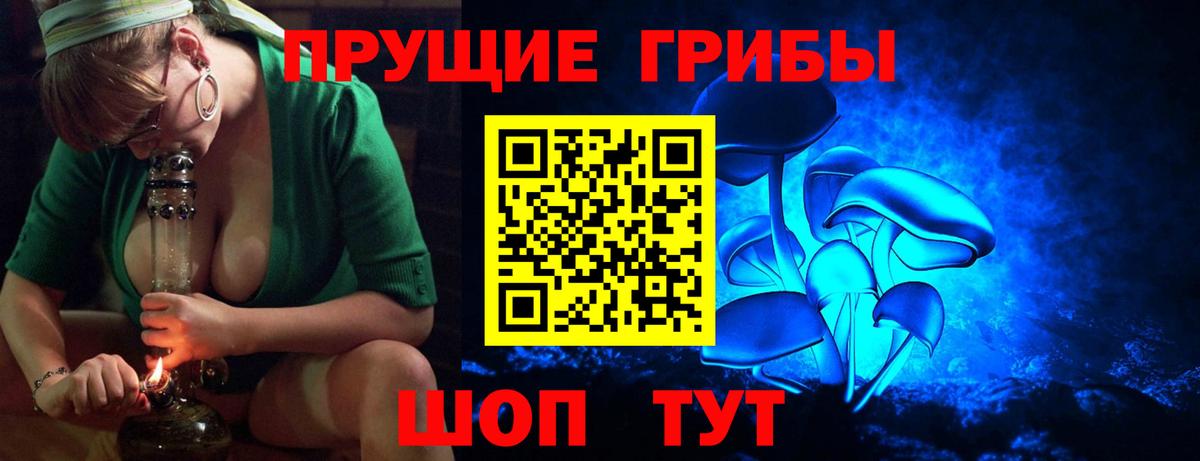 Псилоцибиновые грибы мицелий  Псилоцибиновые грибы Psilocybe  Вход с VPN  Озёрск 